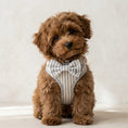 Load image into Gallery viewer, Grey Heritage Stripe First Walk Set - Harness, Collar, Lead and Bow Tie