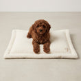 Load image into Gallery viewer, A small brown curly-haired puppy lies on a cream-colored rectangular dog bed with a stitched monogram, set against a neutral beige background.