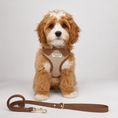 Load image into Gallery viewer, Posh Poos Heritage Chestnut Vegan Leather Dog Lead