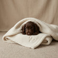 Load image into Gallery viewer, Teddy Fleece Dog Blanket – Ivory | Posh Poos London