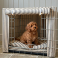 Load image into Gallery viewer, cavapoo puppy inside posh poos grey striped crate set