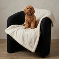 Load image into Gallery viewer, Ivory Monochrome Dog Blanket –with Sherpa | 70 × 100 cm - Ivory
