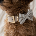 Load image into Gallery viewer, Heritage Stripe Doggy Bowtie - Taupe