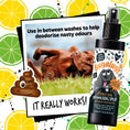 Load image into Gallery viewer, Bugalugs Stinky Dog Deodorising Spray For Dogs And Puppies 200ml - Posh Poos