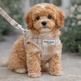 Load image into Gallery viewer, Small brown cavapoo puppy wearing a plaid harness with 'POSH POOS' on a leash, standing on a path with greenery in the background.