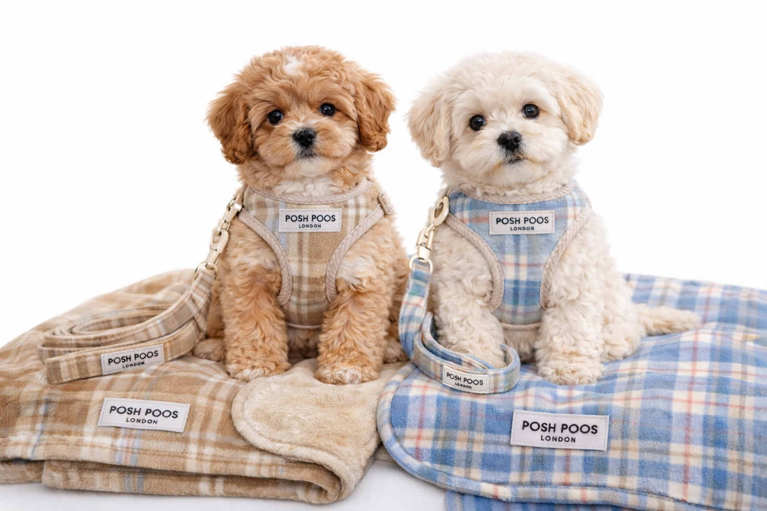 New Puppy Essentials