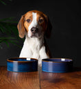 Load image into Gallery viewer, Scruffs Reactive Glaze Dog Bowl Set Navy Blue - Posh Poos
