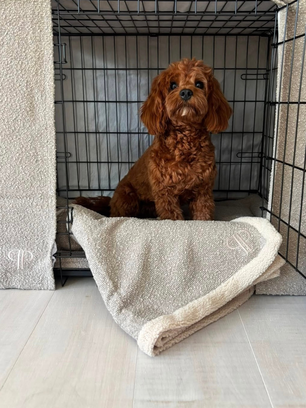 Real Posh Poos Pups, Real Homes