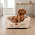 Load image into Gallery viewer, Posh Poos Heritage Stripe Dog Bed - Taupe
