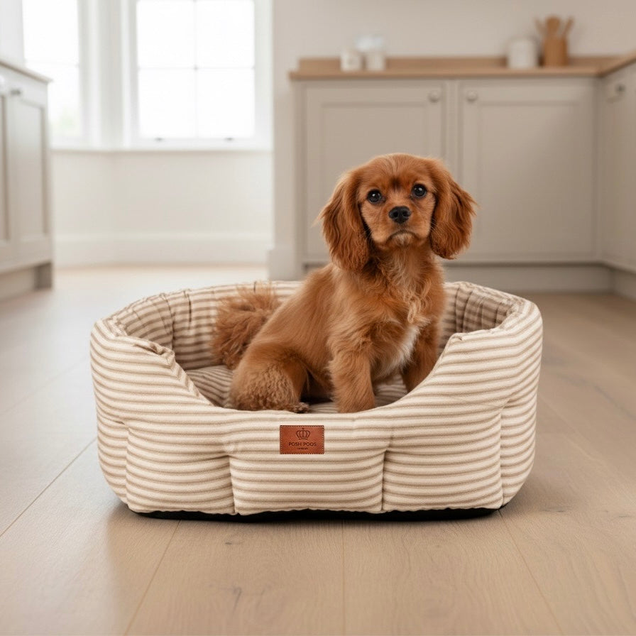 Posh Poos Heritage Stripe Dog Bed - Taupe