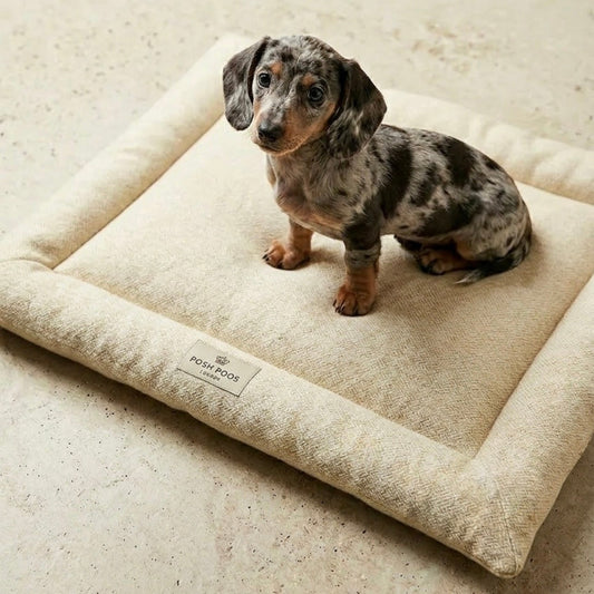 Highland Tweed Dog Crate Mattress Bed - Natural