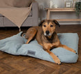 Load image into Gallery viewer, Scruffs Seattle Dog Mattress Green - Posh Poos

