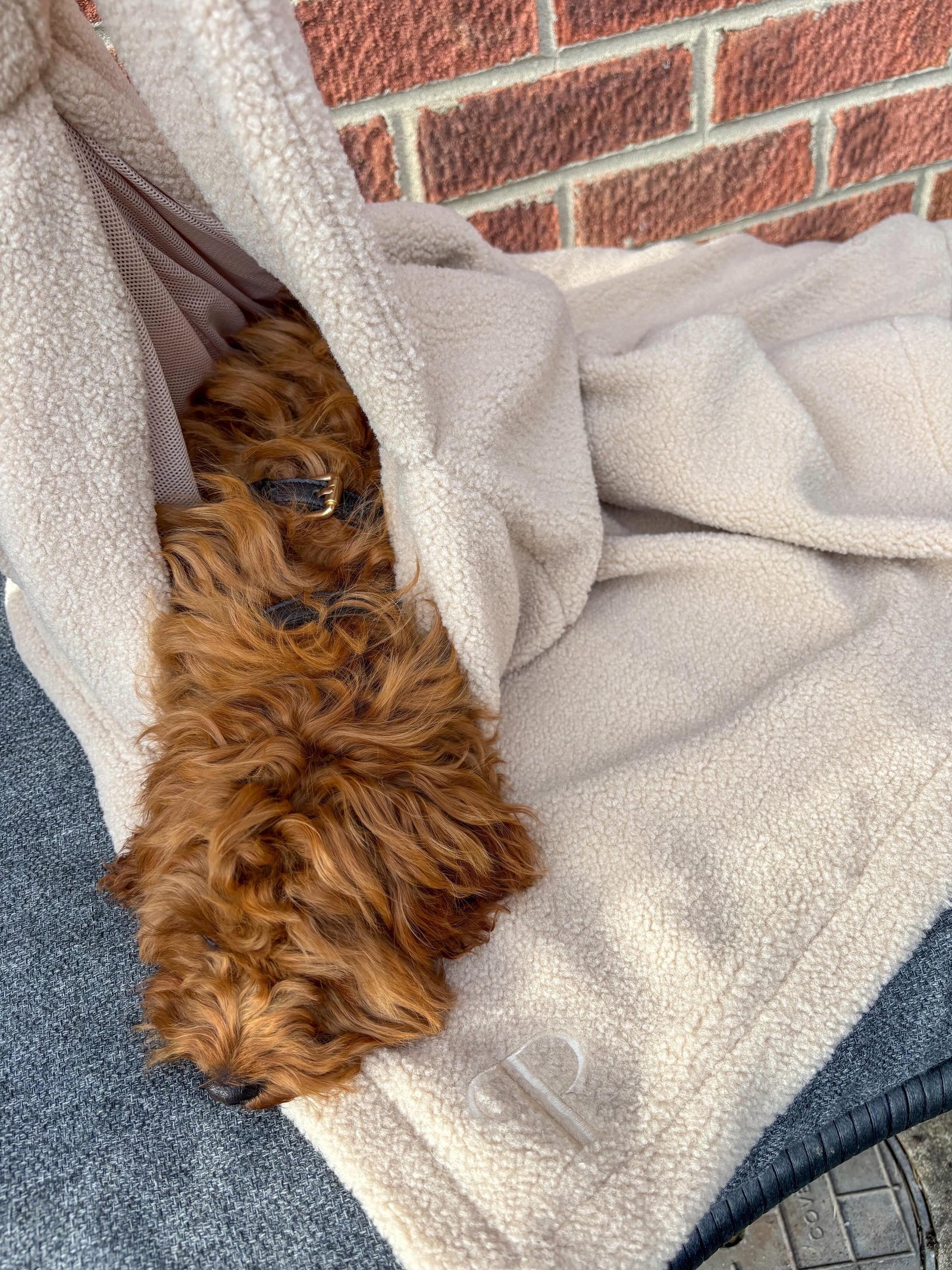 New Puppy Starter Set – Teddy Sling Carrier & Blanket | Posh Poos London