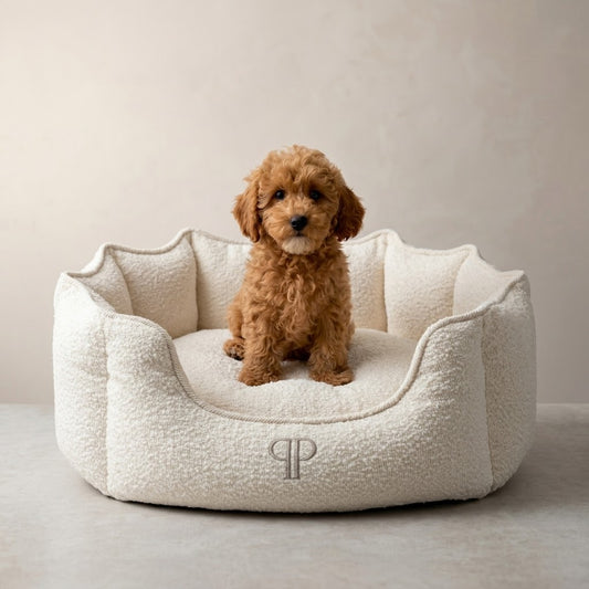Luxury Bouclé Scalloped Dog Bed – Cream