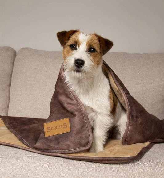 Scruffs Kensington Dog Blanket-Chocolate - Posh Poos