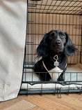 Load image into Gallery viewer, Belgravia Monochrome Puppy Harness – Ivory
