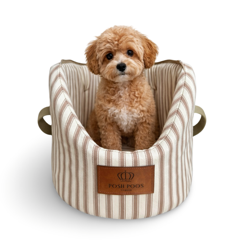 Maltipoo  dog sitting in a striped dog bag with 'Posh Poos' branding on a white background