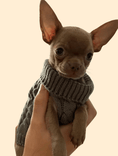 Load image into Gallery viewer, Tiny Puppy Jumper,  BACK IN STOCK - Posh Poos
