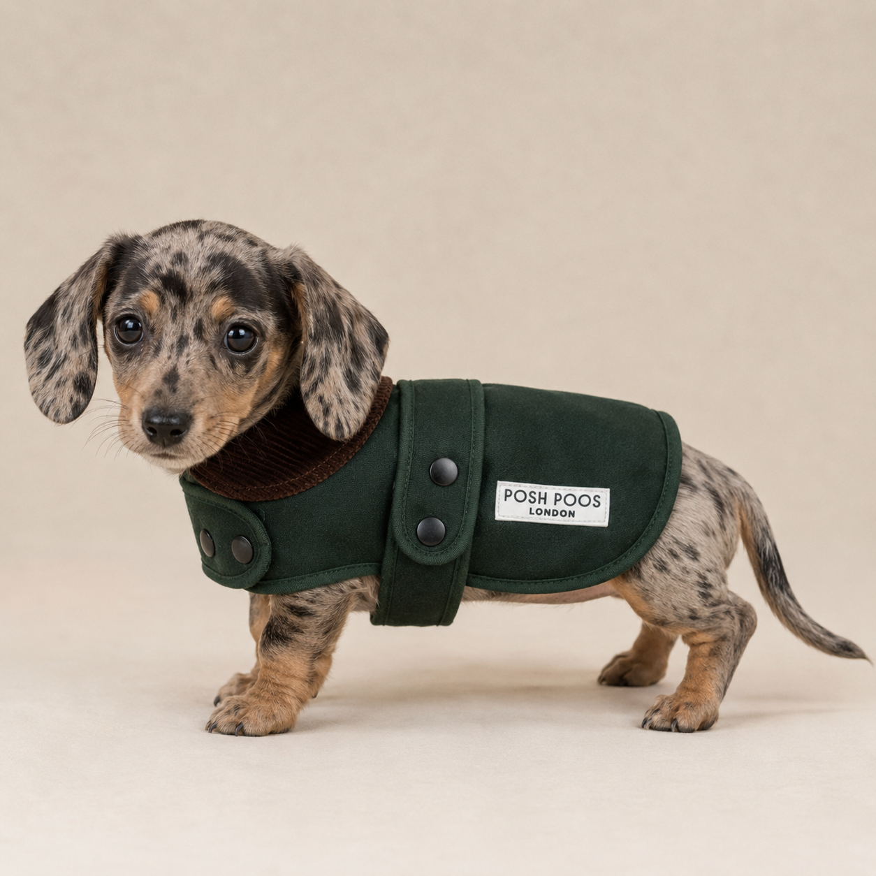 Posh Poos Hunter Coat-Forest Green