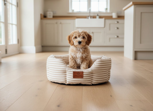 Posh Poos Heritage Stripe Dog Bed - Taupe