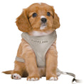 Load image into Gallery viewer, GREY Soft Puppy Harness with matching lead Tiny PUPPY - Posh Poos
