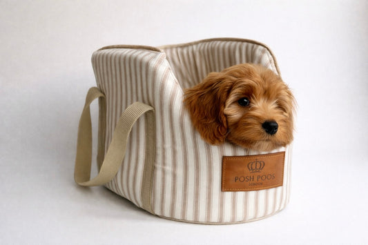 Luxury Dog Carrier Bag - Taupe