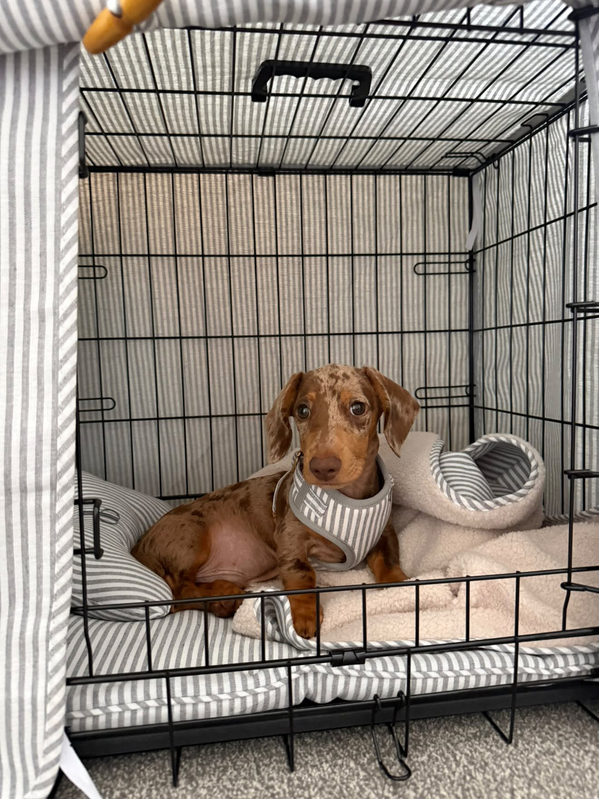 Classic Heritage Stripe Dog Crate Cover -Grey