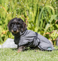 Load image into Gallery viewer, Puppy and Small Dog Bathrobe XS - Posh Poos
