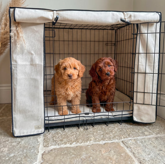 Linen Monochrome Dog Crate Cover - Ivory