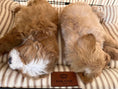 Load image into Gallery viewer, Posh Poos Dog Crate Cage Cover In Taupe Heritage Stripe - Posh Poos
