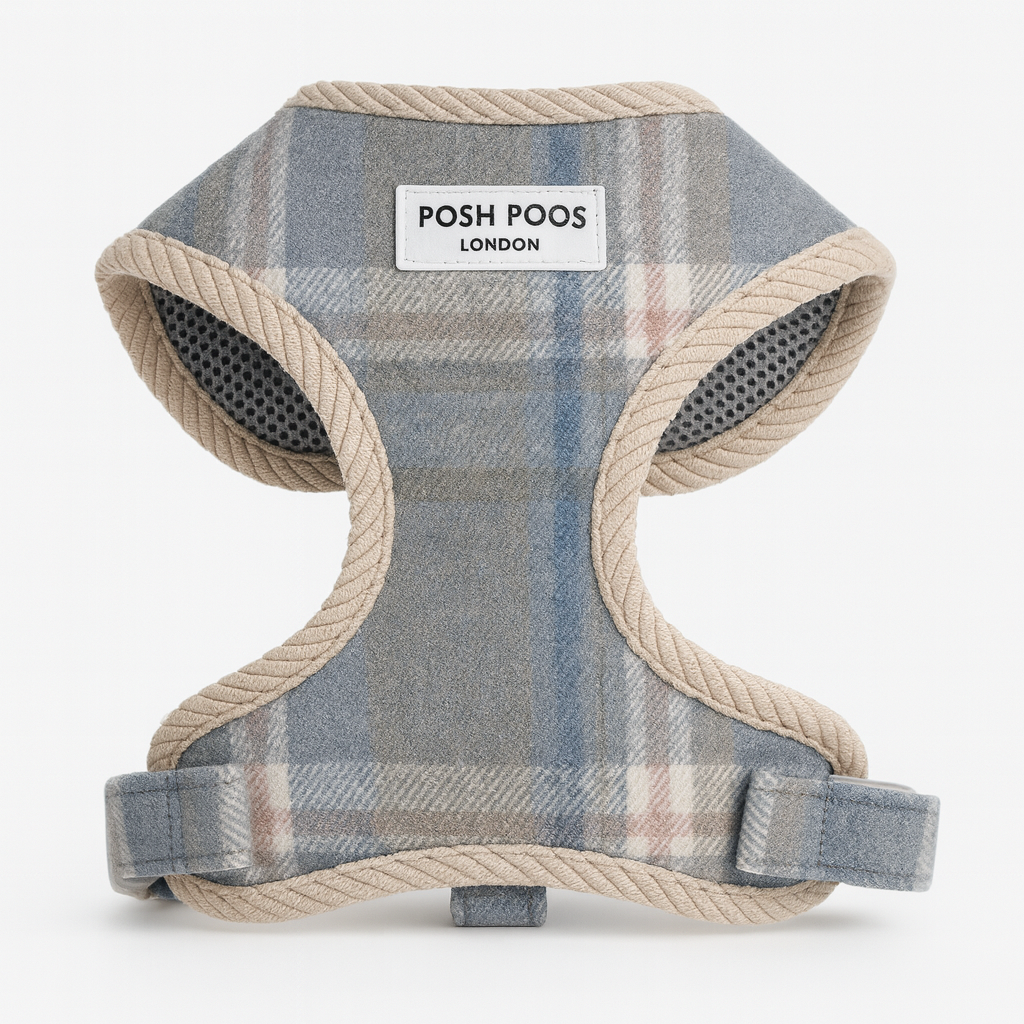 Posh Poos Balmoral plaid puppy harness in blue wool plaid with beige trim.