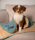 Load image into Gallery viewer, Scruff Snuggle Dog Blanket Green - Posh Poos
