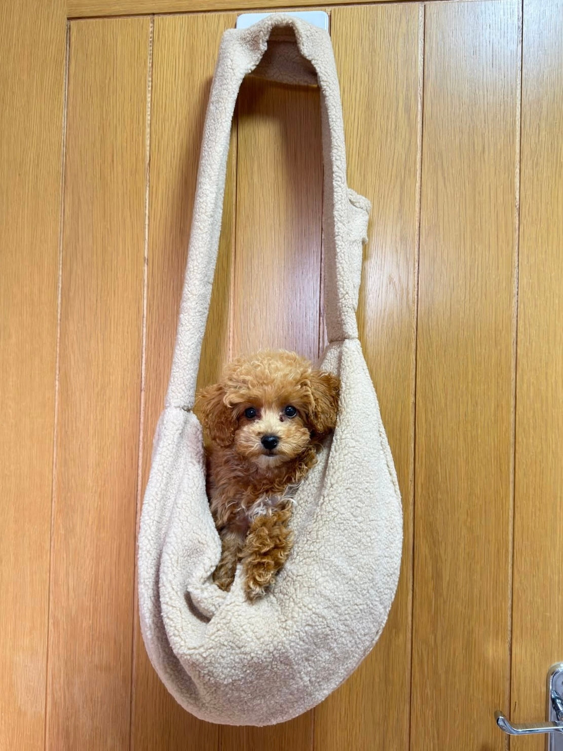 New Puppy Starter Set – Teddy Sling Carrier & Blanket | Posh Poos London
