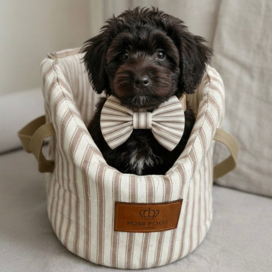Dog wearing a striped bow tie sitting in a striped pet carrier with 'Posh Poos' branding.