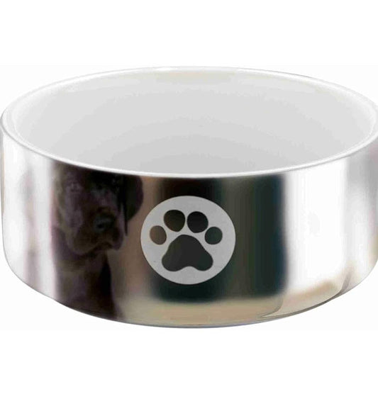 Ceramic Silver Bowl - Posh Poos
