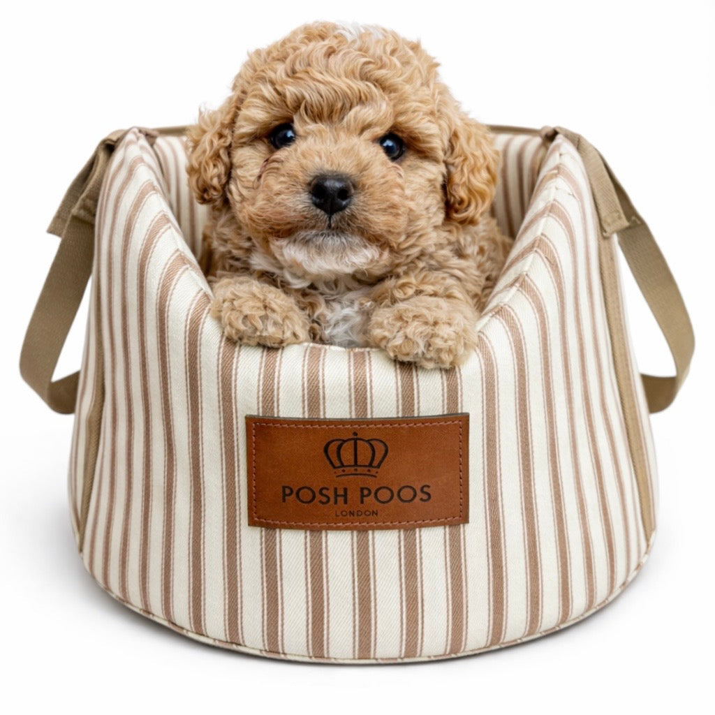 Puppy in a striped pet carrier with 'Posh Poos' branding on a white background