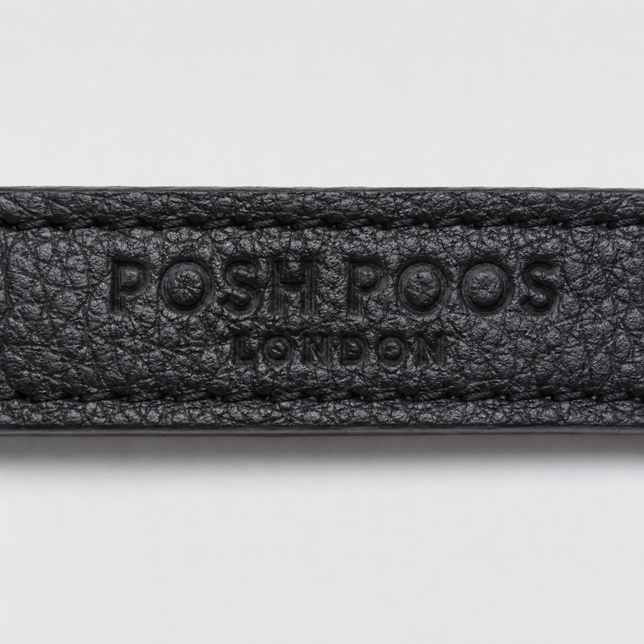 Belgravia Black Vegan Leather Puppy Collar