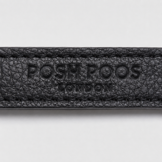 Belgravia Black Vegan Leather Puppy Collar