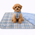 Load image into Gallery viewer, Soft Fleece Plaid Puppy Blanket -Blue
