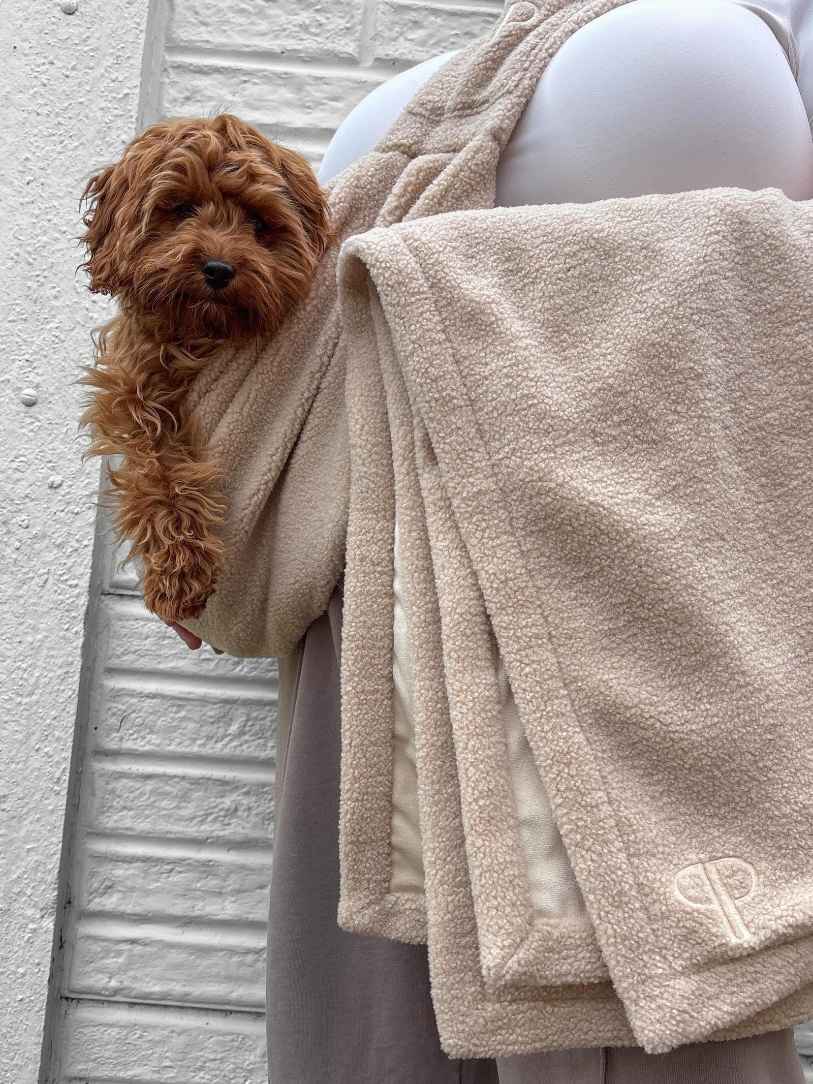 New Puppy Starter Set – Teddy Sling Carrier & Blanket | Posh Poos London
