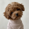 Load image into Gallery viewer, The Monogram Puppy T-Shirt — Soft Taupe

