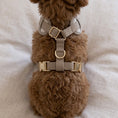 Load image into Gallery viewer, Boucle Puppy Harness - Cream
