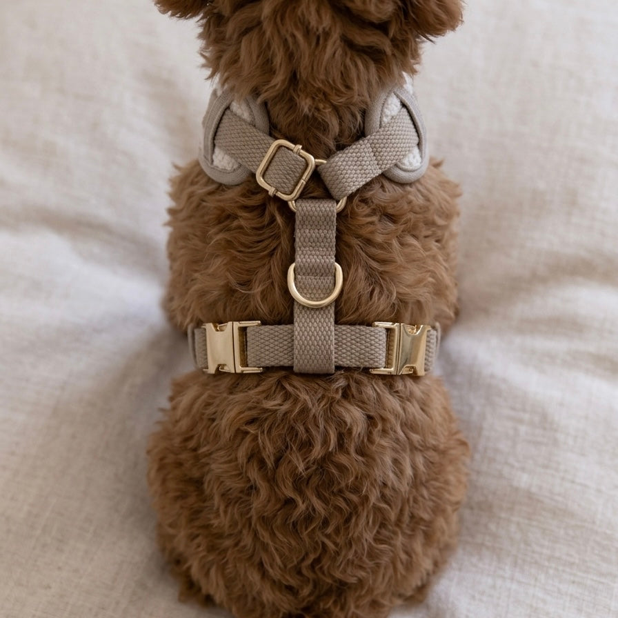 Boucle Puppy Harness - Cream