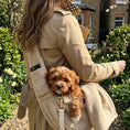 Load image into Gallery viewer, Teddy Fleece Dog Sling Carrier – Oatmeal | Posh Poos London
