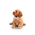 Load image into Gallery viewer, Heritage Tweed Posh Poos Puppy Small Dog Harness Set - Posh Poos
