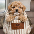 Load image into Gallery viewer, Puppy in a striped bag with 'Posh Poos' branding inside a vehicle.
