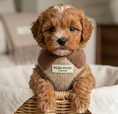 Load image into Gallery viewer, Marlow Linen Puppy Harness - Chestnut
