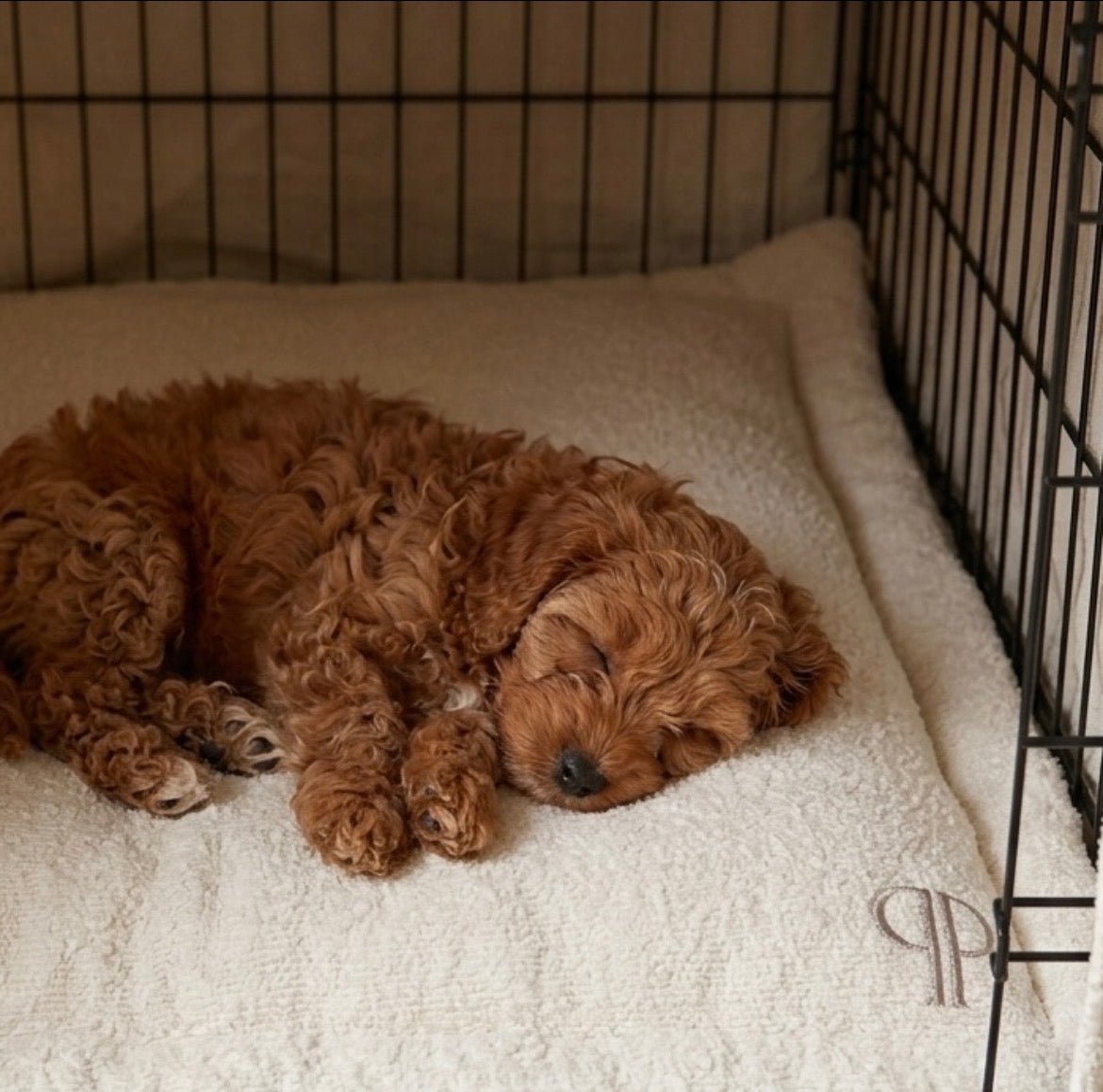Cream Boucle Dog Crate Mattress bed - 30 " US Standard