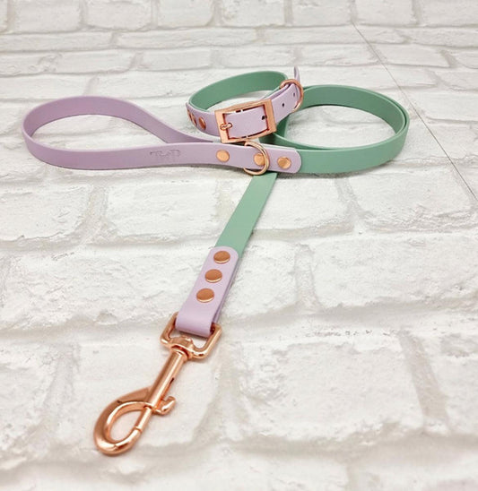Waterproof BioThane® Dog Collar & Dog Lead Set - Sage & Lilac  SMALL - Posh Poos
