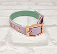 Load image into Gallery viewer, Waterproof BioThane® Dog Collar & Dog Lead Set - Sage & Lilac  SMALL - Posh Poos
